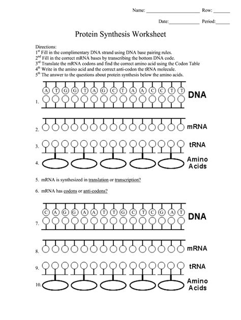 protein synthesis and mutations review worksheet answers